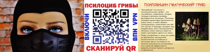Купить где  Мариинск  Псилоцибиновые грибы мицелий 